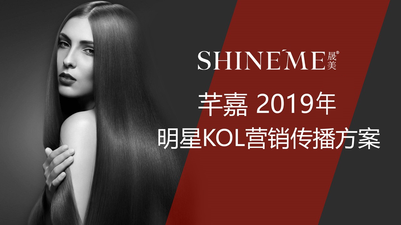 2019立白明星KOL营销传播方案-0点创意