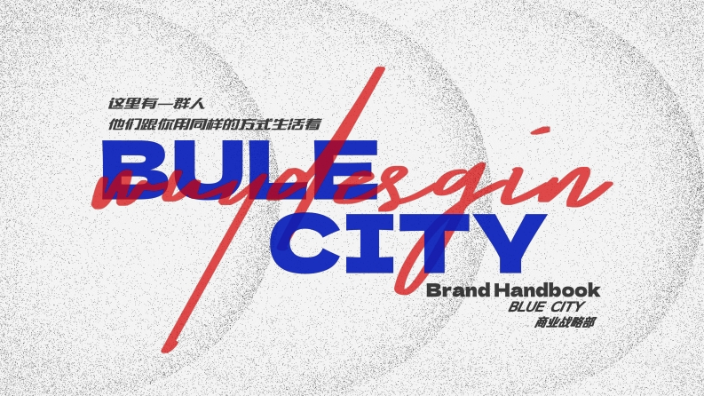 BLUECITY品牌手册简要版-0点创意