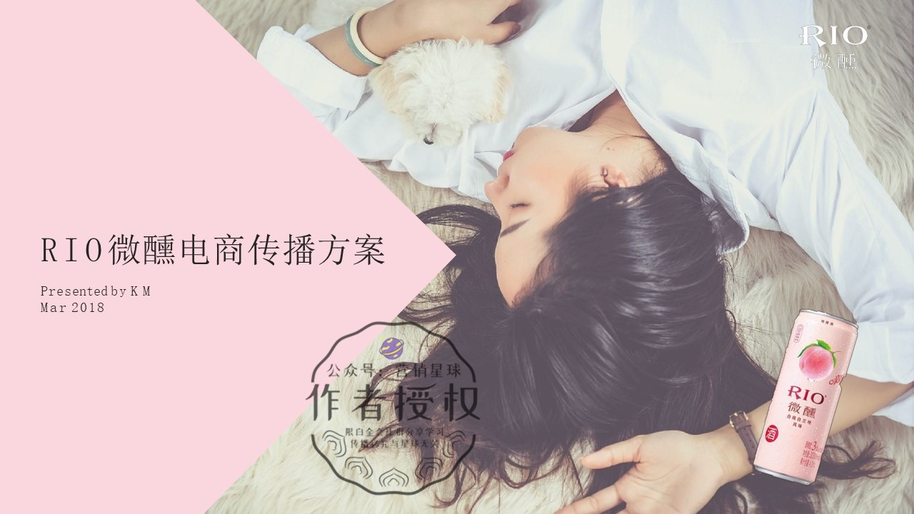 RIO酒微醺电商传播方案