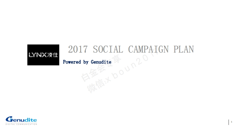 凌仕LYNX社会化传播方案