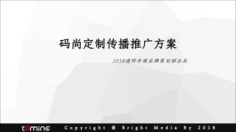 码尚定制传播推广全案-0点创意
