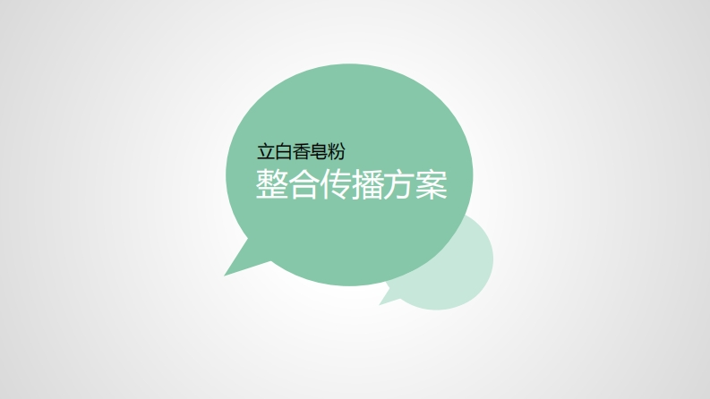 立白年品牌整合传播规划