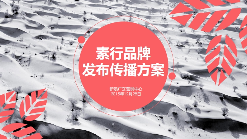 素行品牌发布传播方案