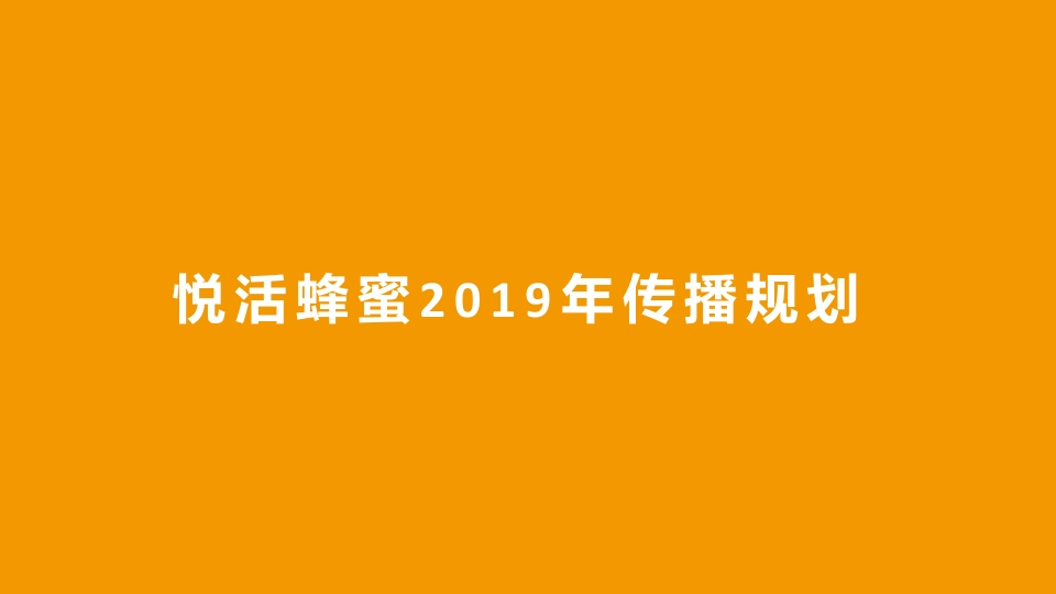 蜂蜜品牌传播推广方案
