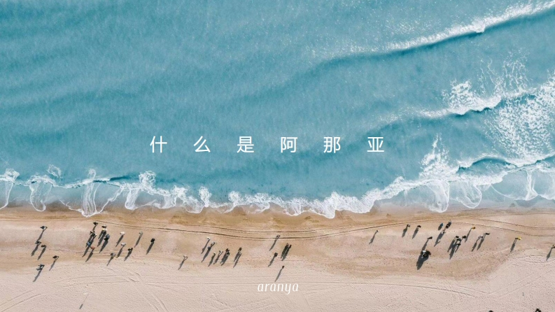 阿那亚品牌手册-0点创意