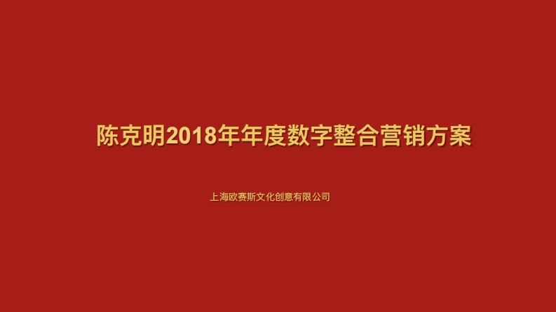 陈克明年整合营销传播方案